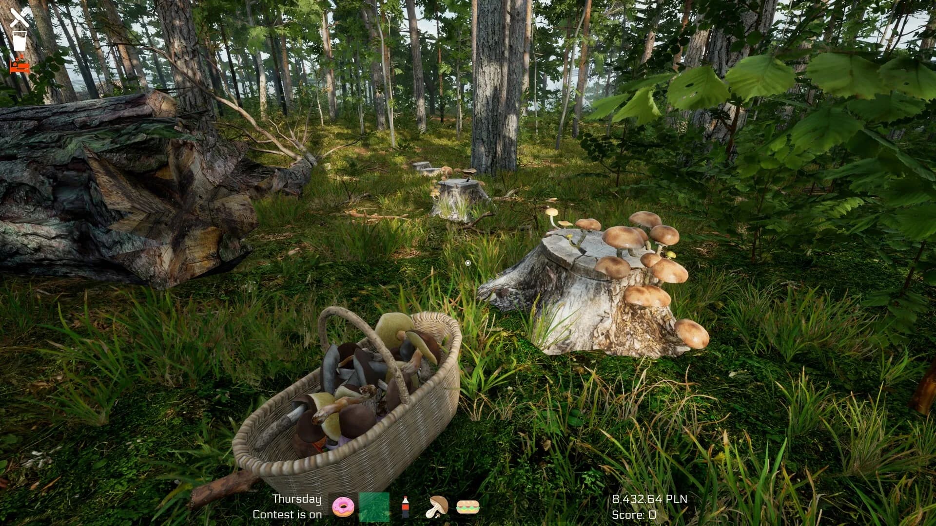 Mushroom Season görsel 9
