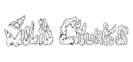 Solid Chunks görsel 1