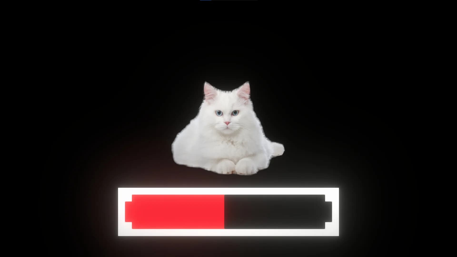 Cat Clicker görsel 3