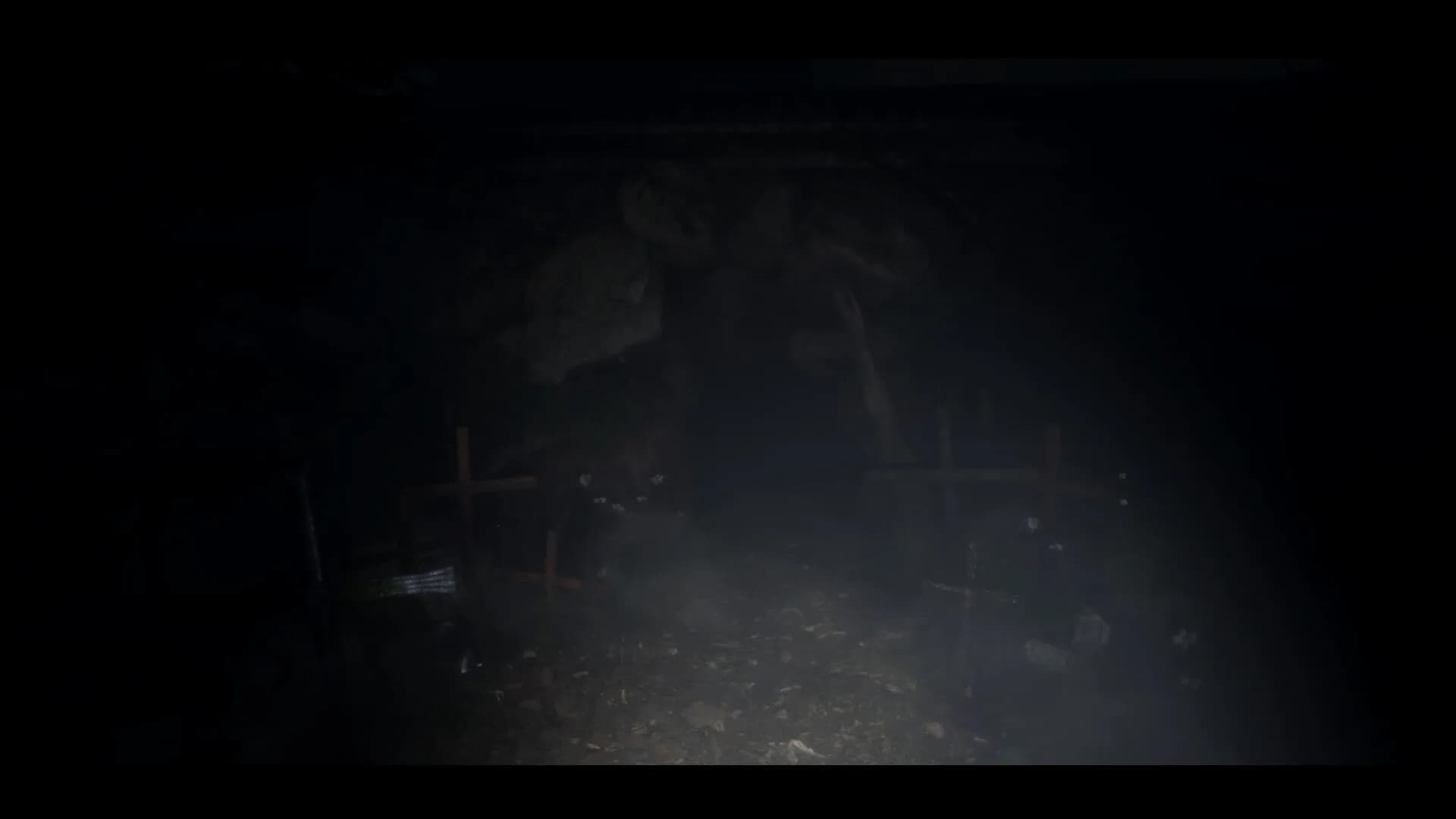 Distant görsel 4