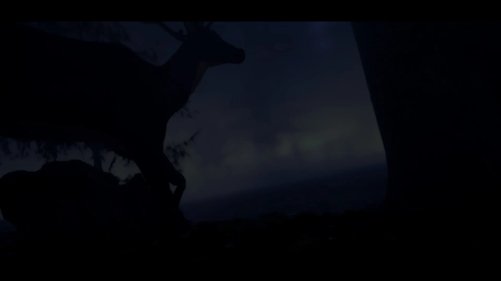 Distant görsel 8