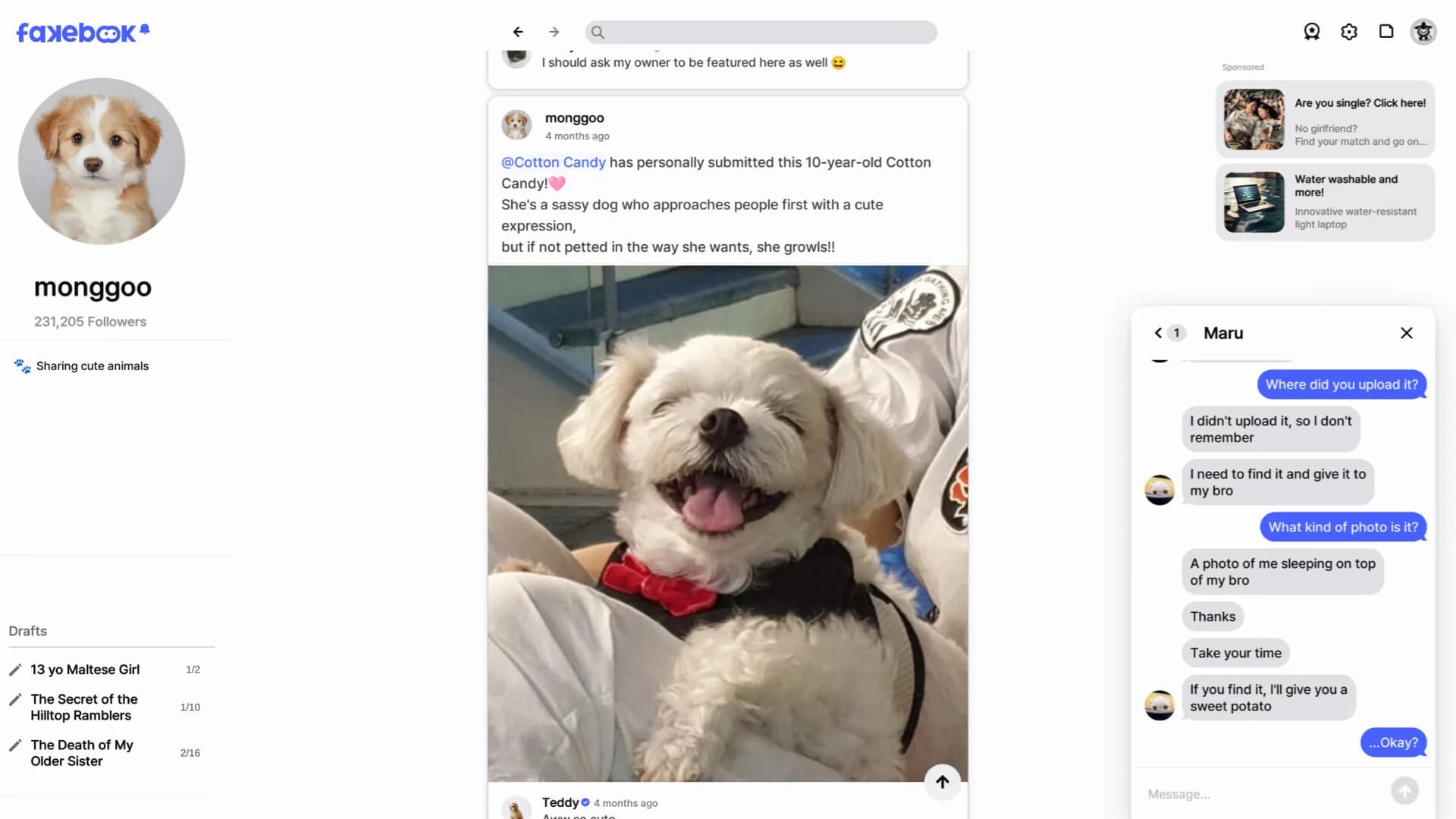 FAKEBOOK görsel 2