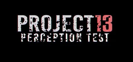 PROJECT 13 Perception Test görsel 1