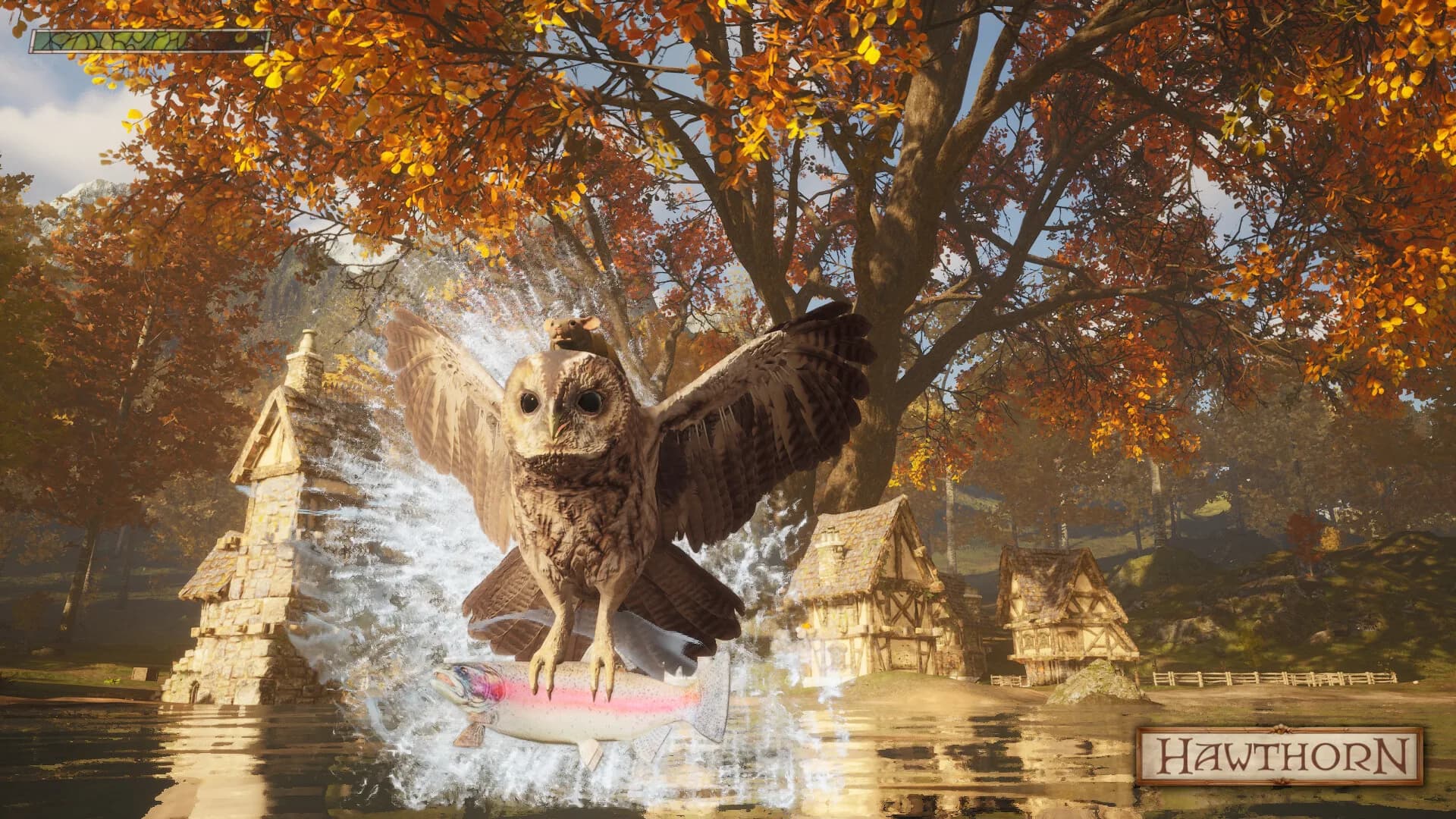 Hawthorn görsel 2