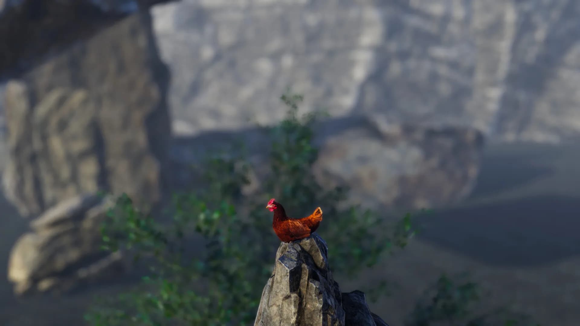 Unlucky Chicken görsel 7