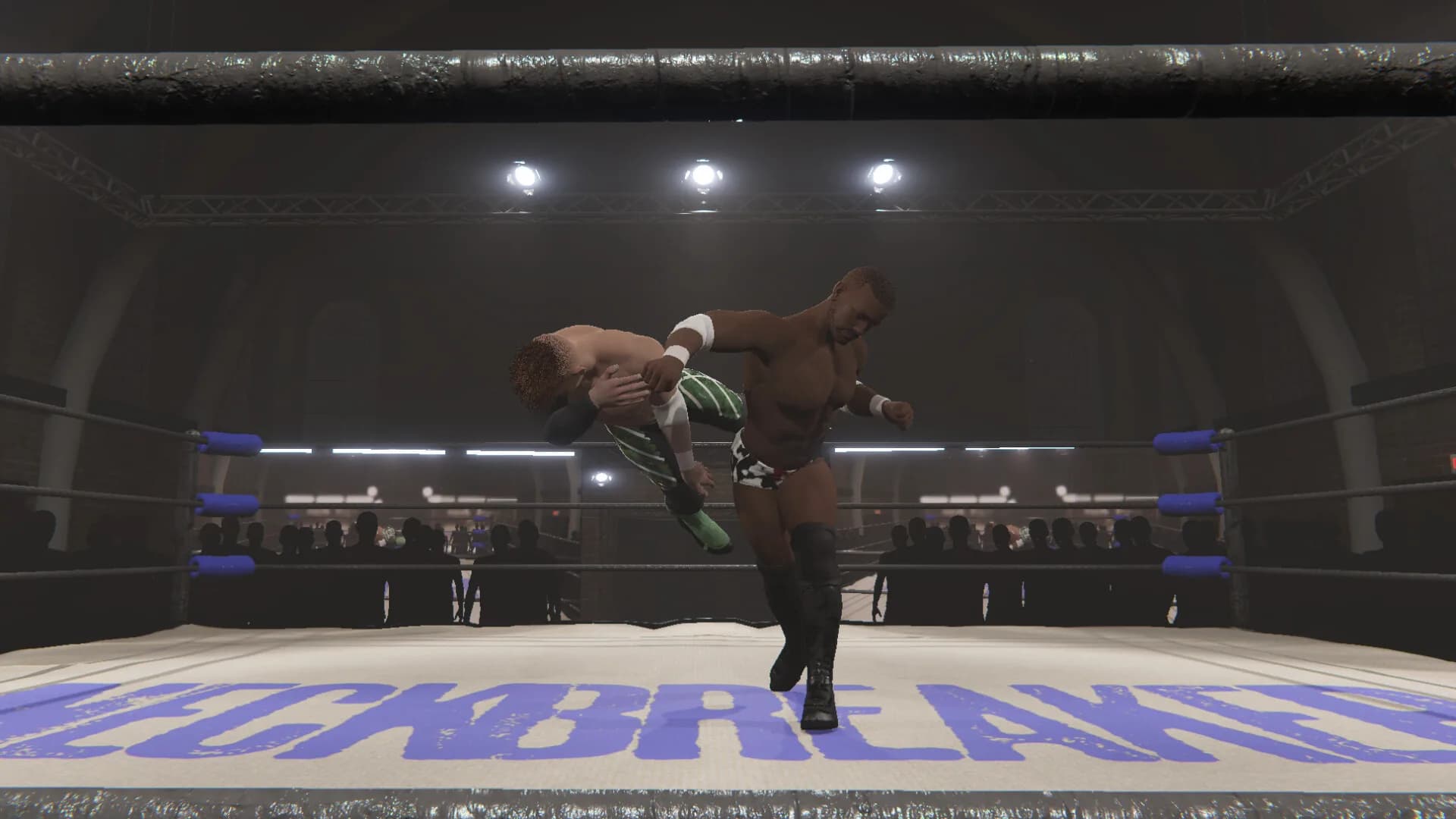 Neckbreaker: Visceral Pro Wrestling görsel 2