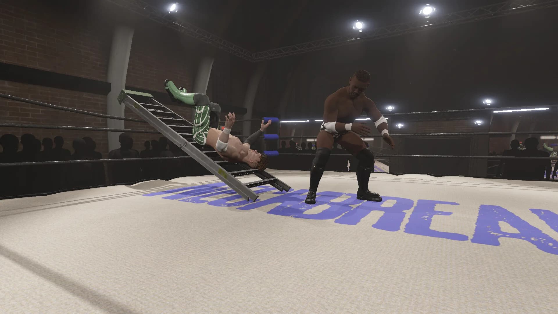 Neckbreaker: Visceral Pro Wrestling görsel 4