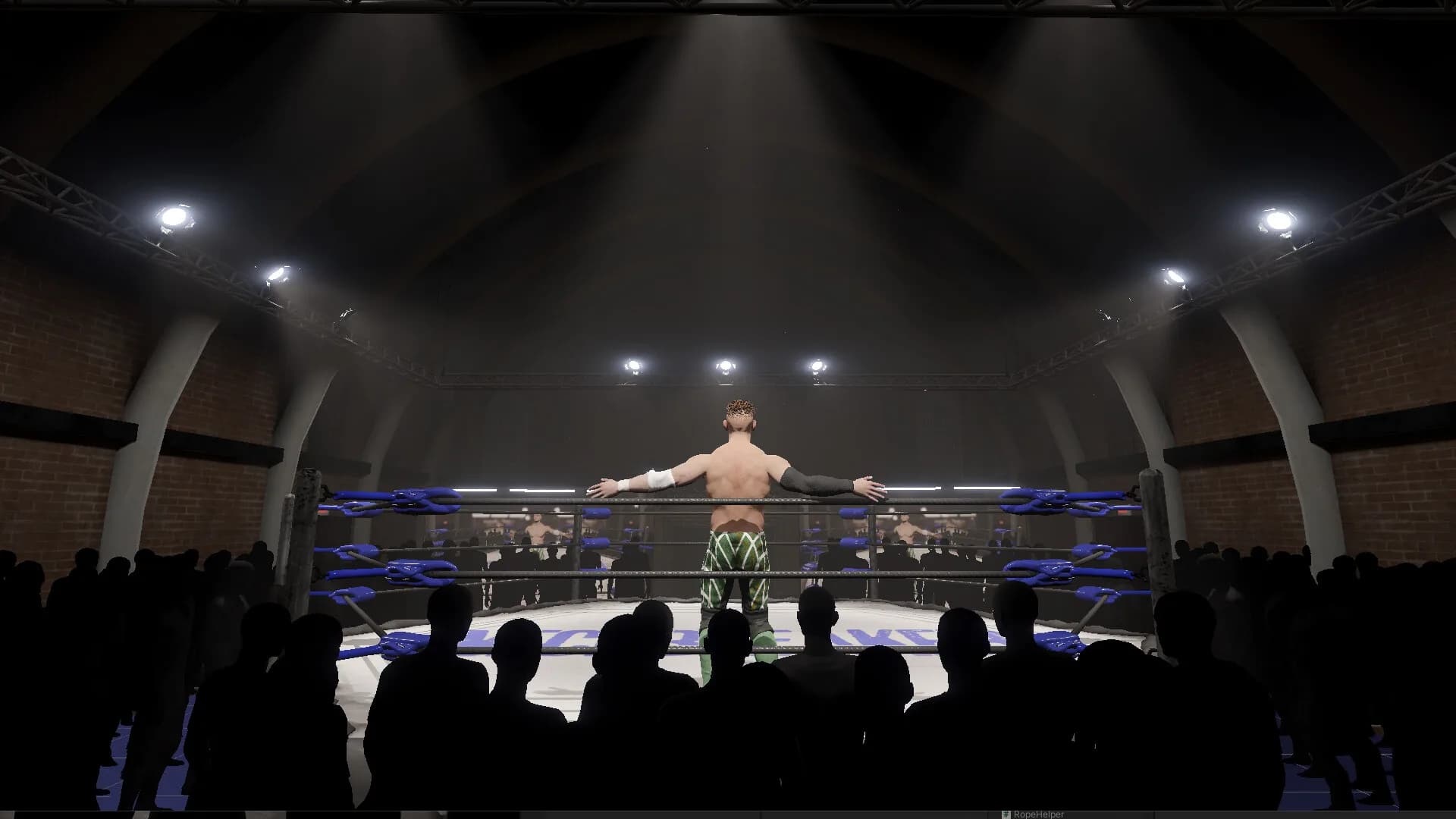 Neckbreaker: Visceral Pro Wrestling görsel 5