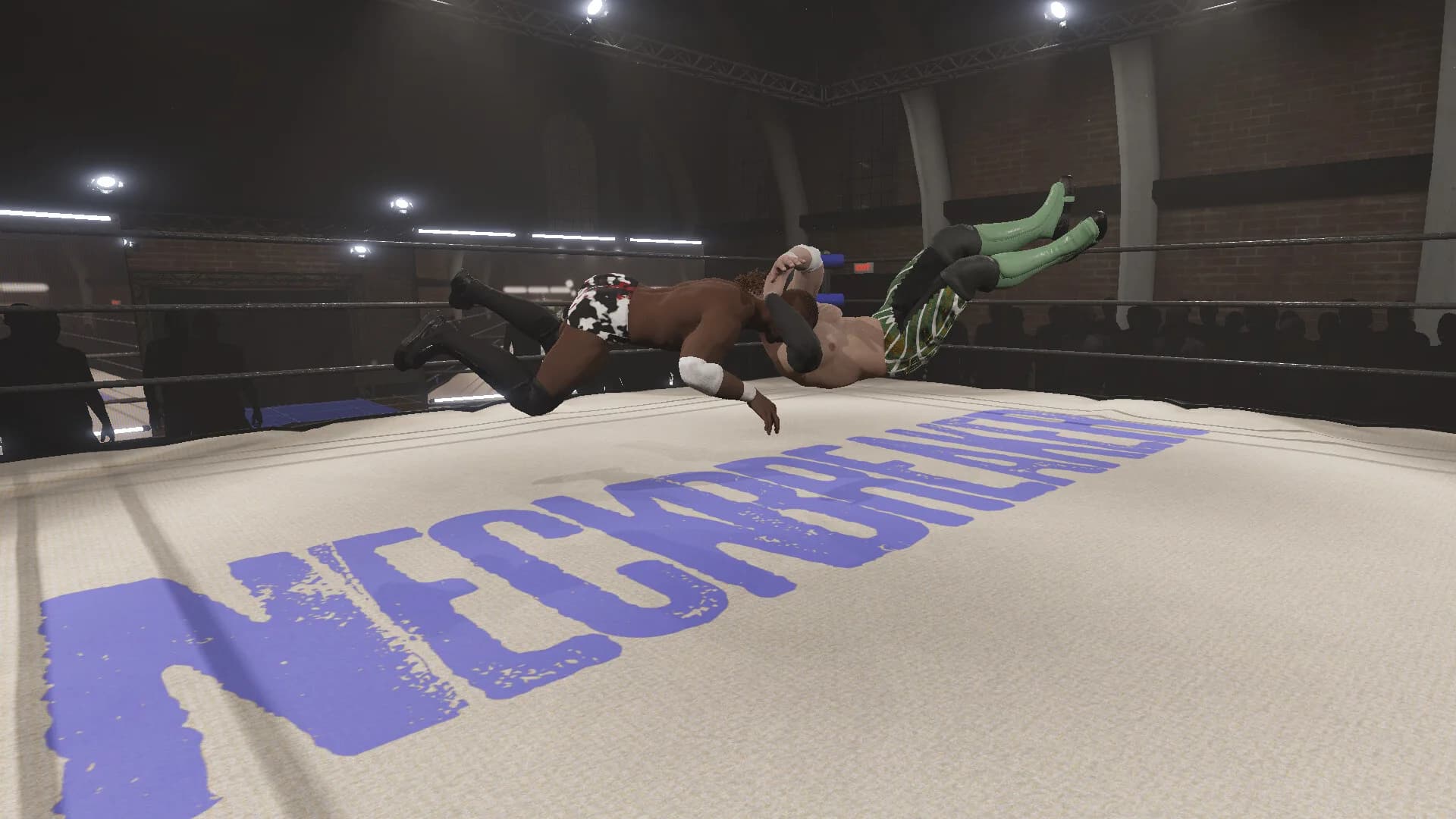 Neckbreaker: Visceral Pro Wrestling görsel 7