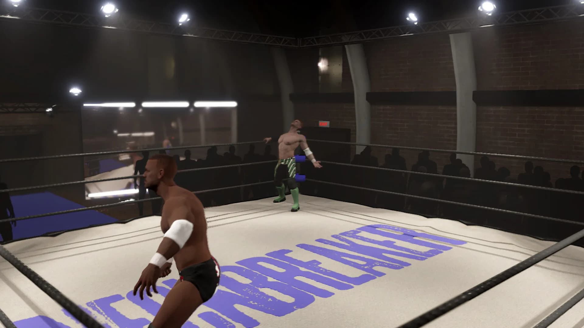Neckbreaker: Visceral Pro Wrestling görsel 9