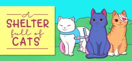 A Shelter Full of Cats