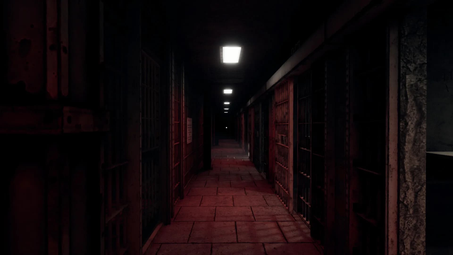 Prison Alone görsel 2