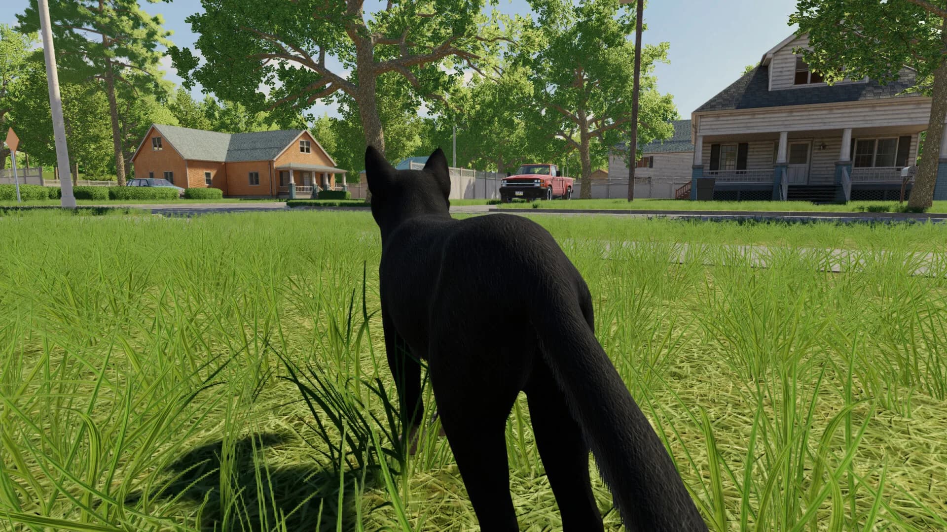 Reign of Cats görsel 4