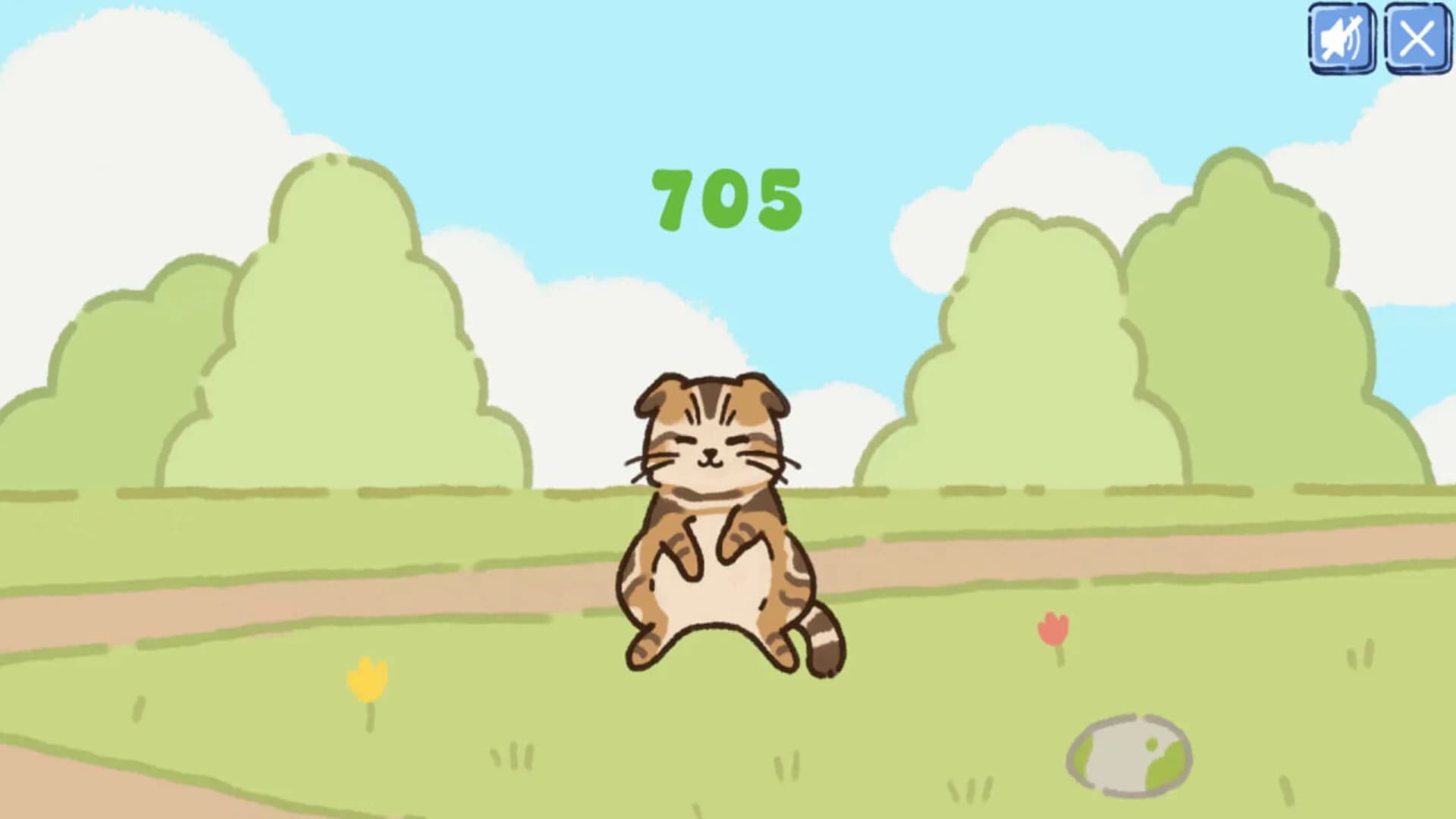 Pets görsel 6