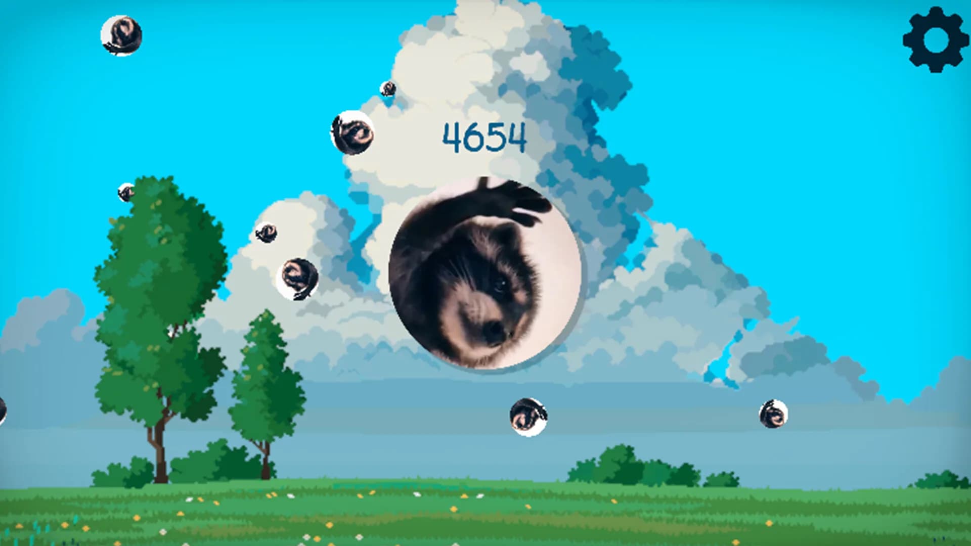 PEDRO! görsel 5