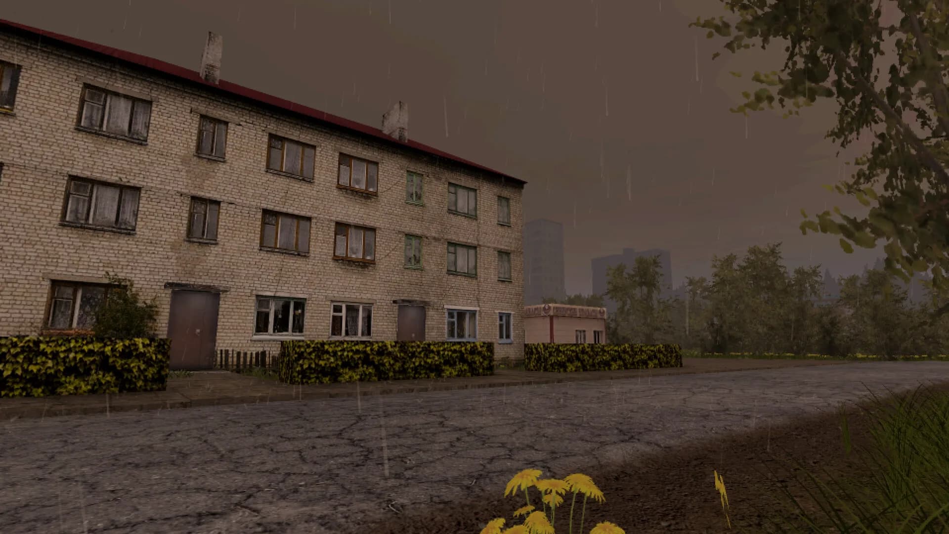 Sosnova görsel 14