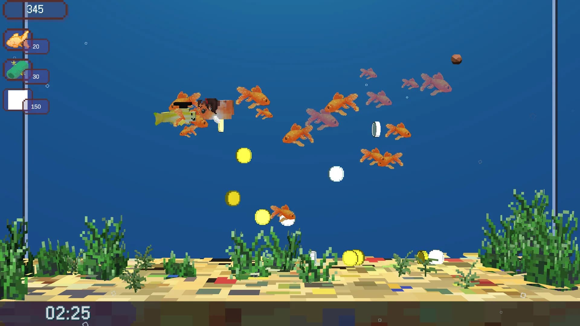 Project - Fish Shop görsel 3
