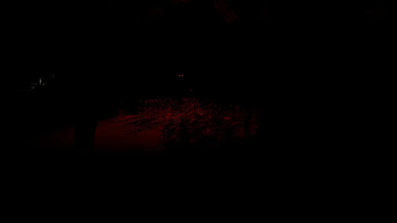 Dark Symphony görsel 10