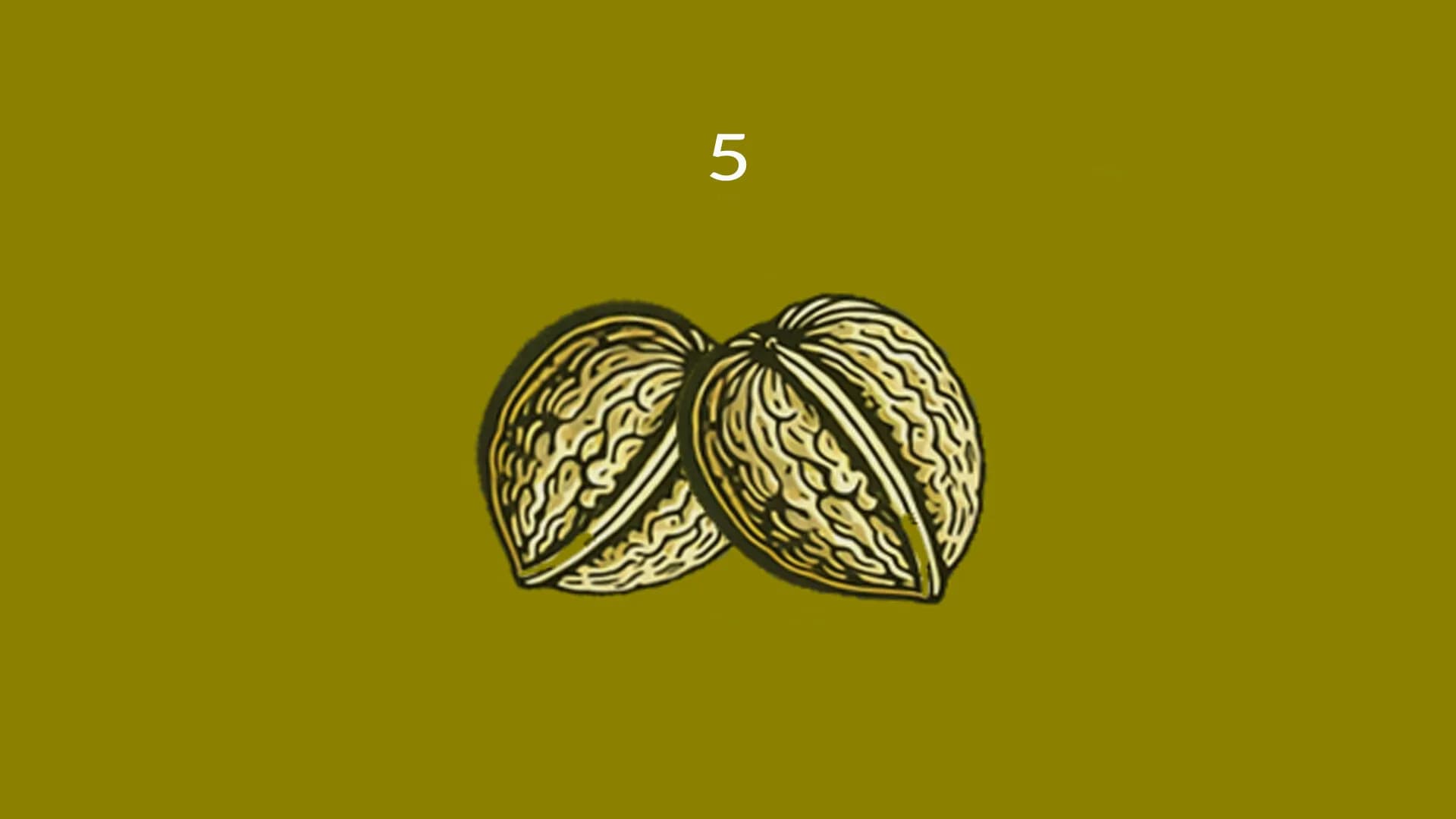Nuts görsel 7