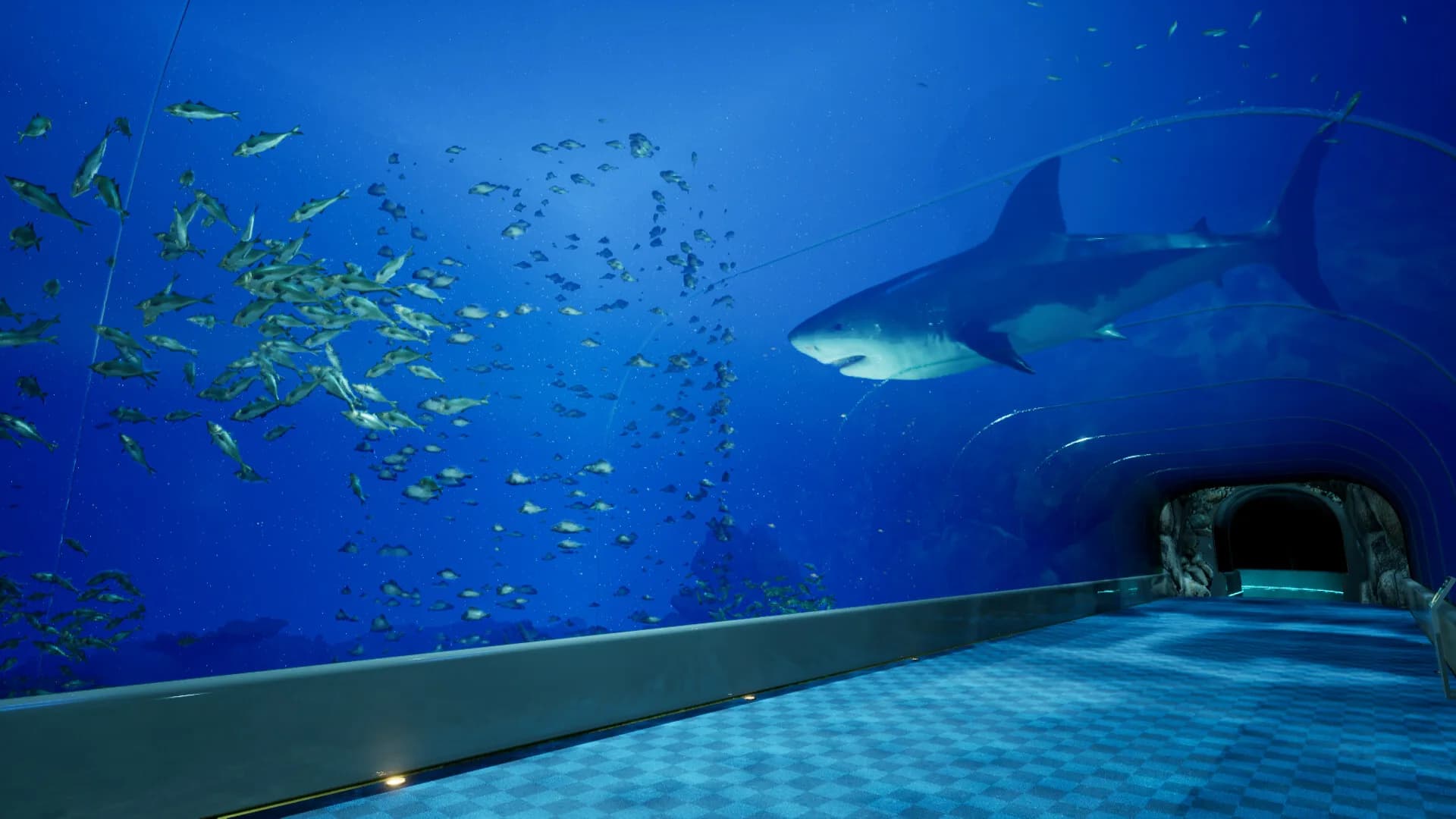 8月32日の水族館 görsel 2