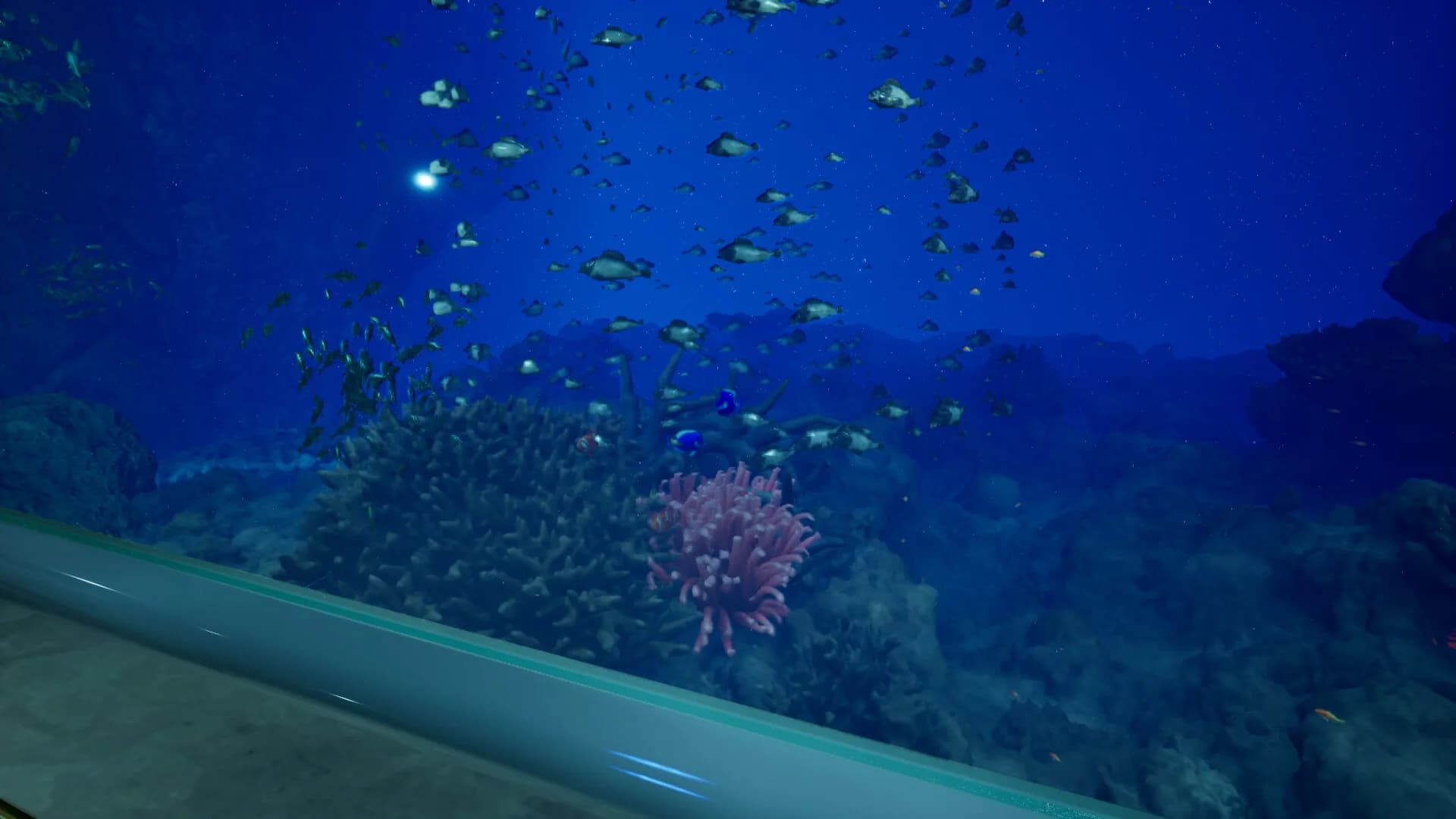 8月32日の水族館 görsel 5