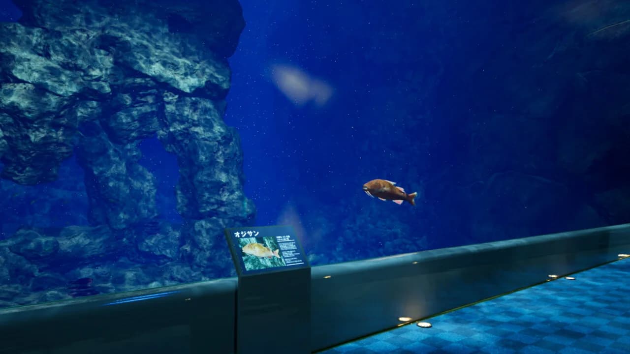 8月32日の水族館 görsel 6