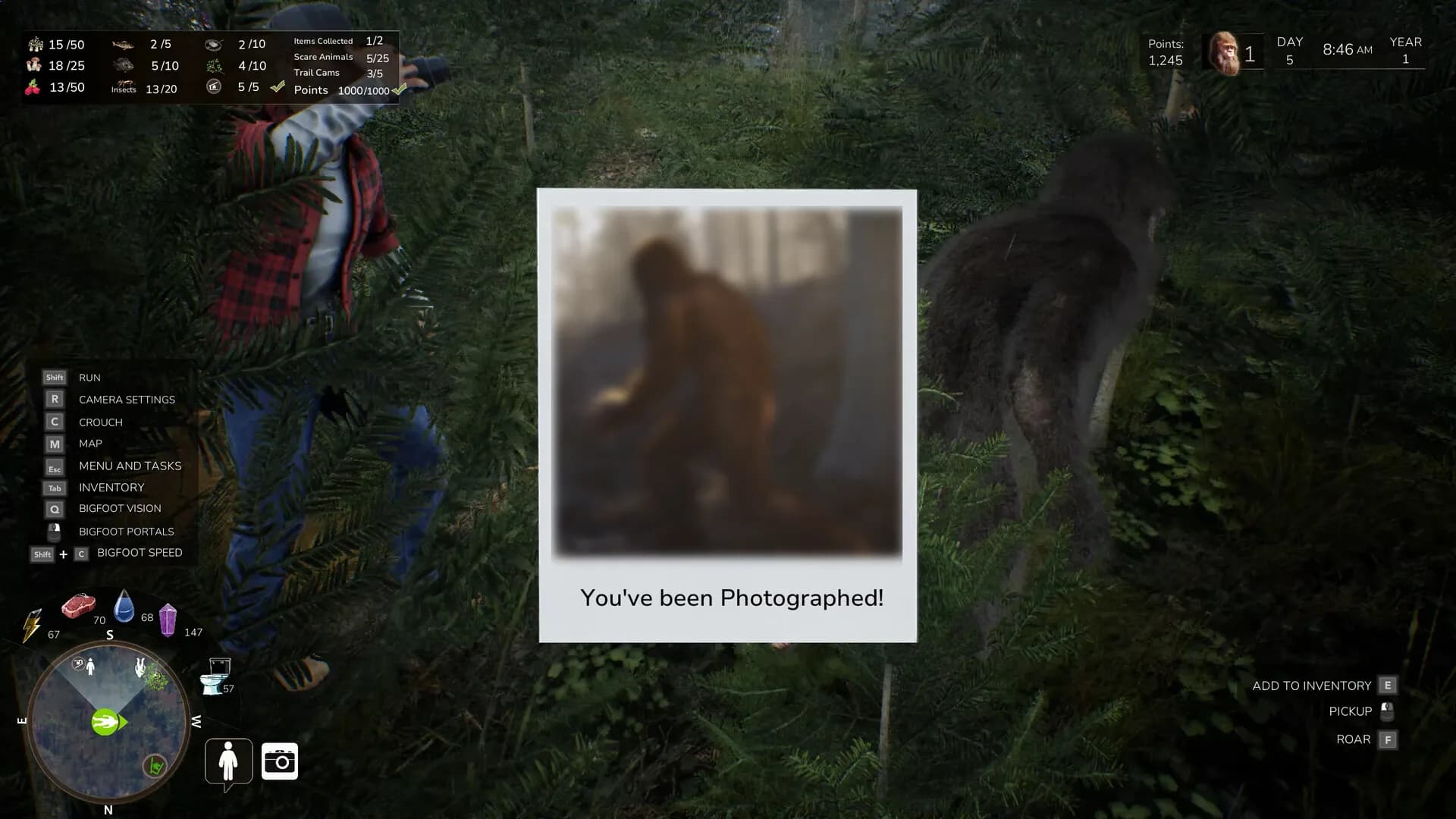 Bigfoot Life görsel 12