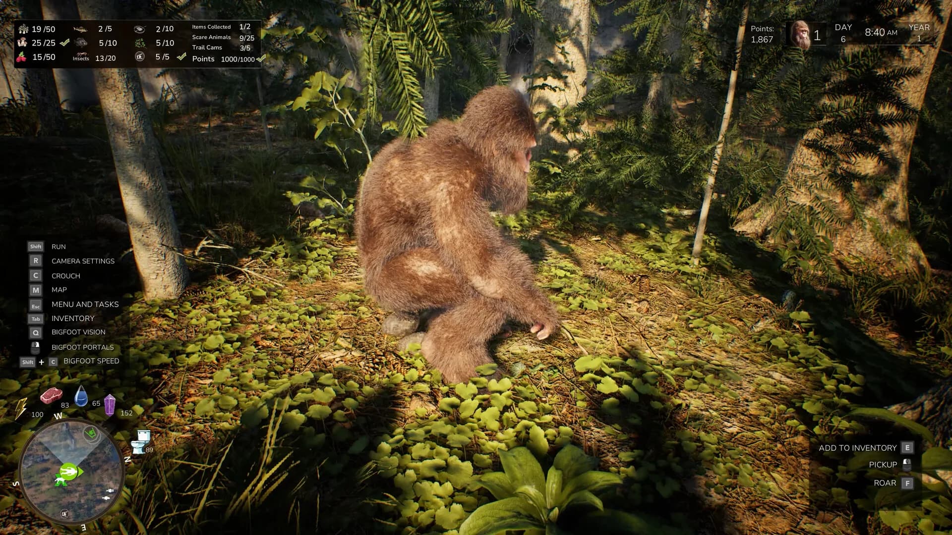 Bigfoot Life görsel 23