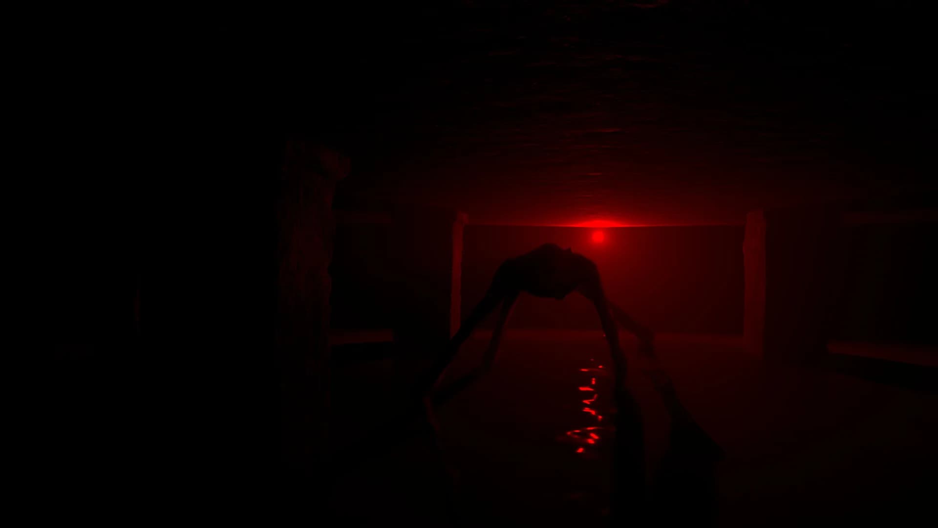 ENTWINE görsel 2