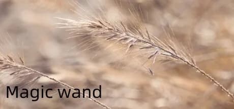 Magic wand