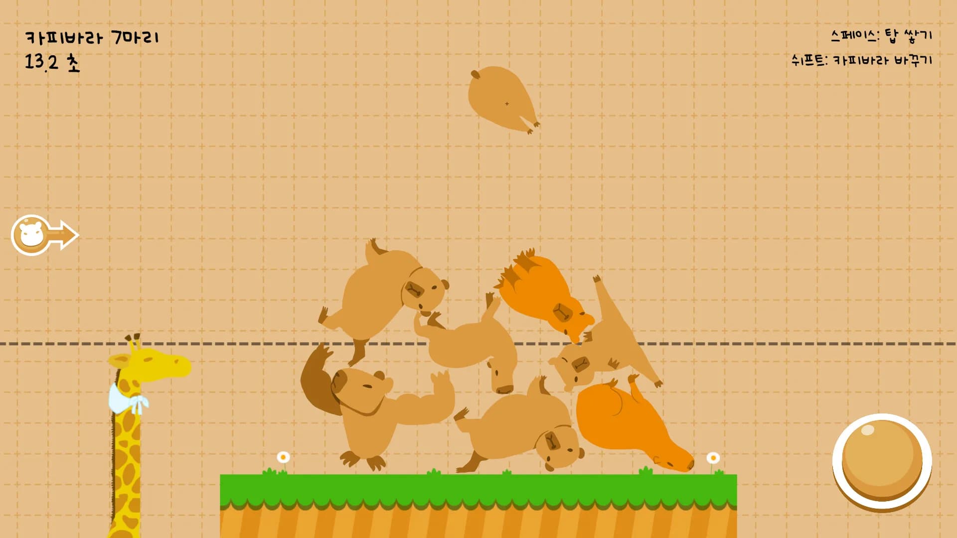 Capybarabara görsel 4