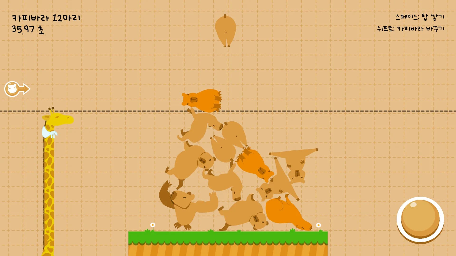 Capybarabara görsel 5