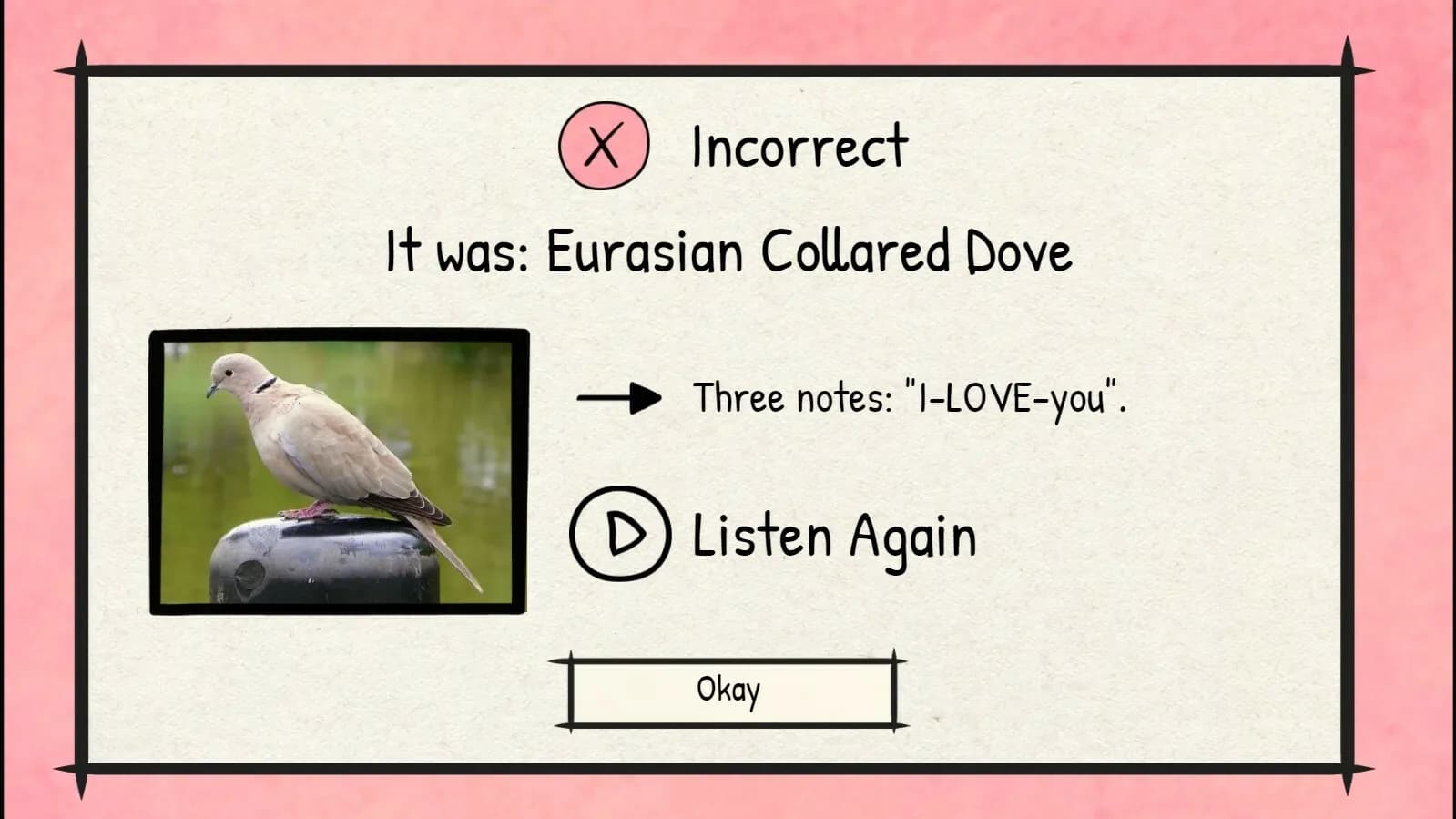 BirdLingo: A birdsong learning game görsel 4