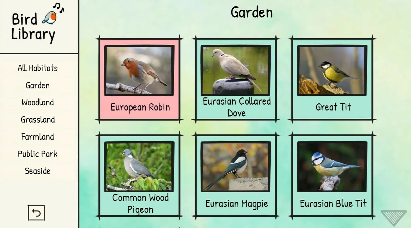 BirdLingo: A birdsong learning game görsel 5