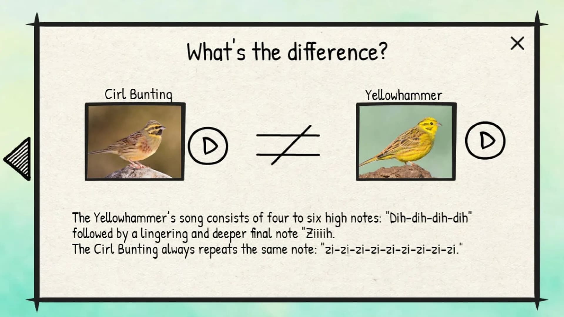 BirdLingo: A birdsong learning game görsel 8