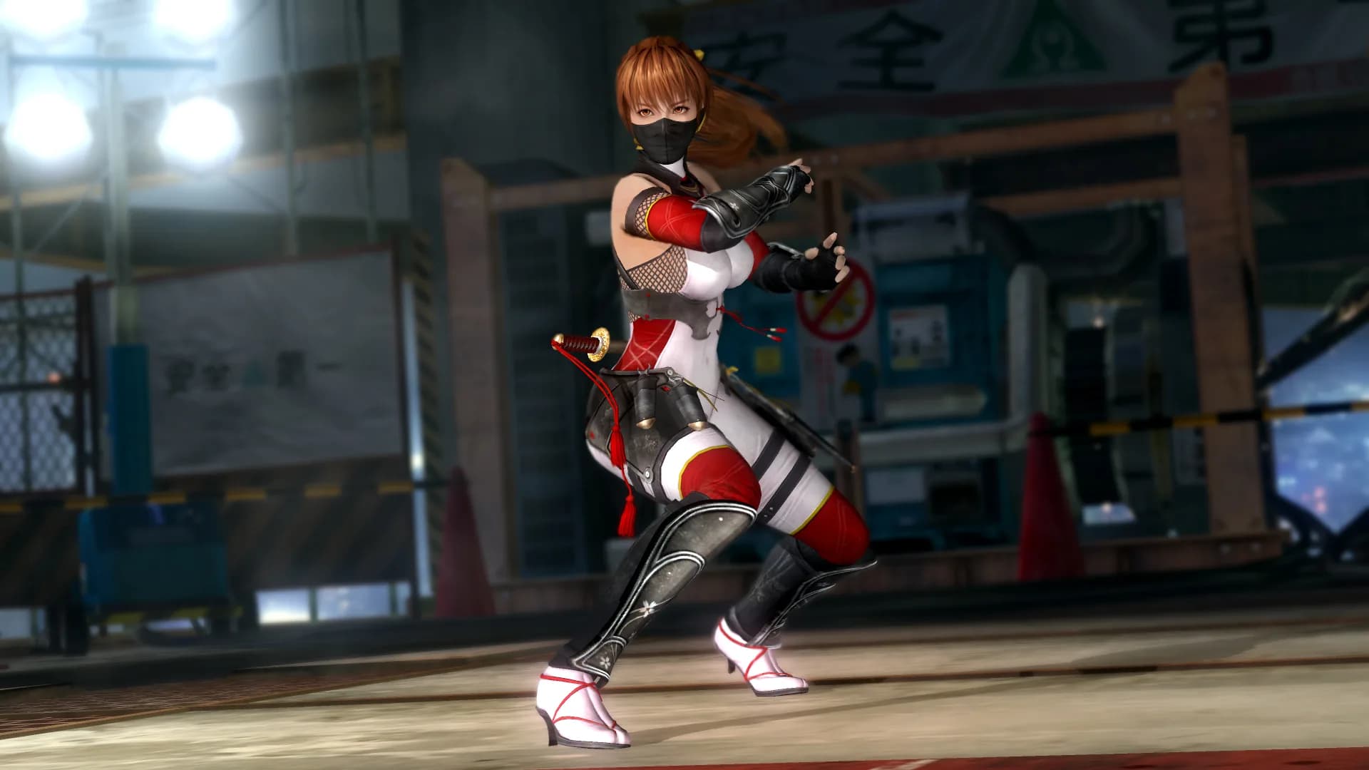 DEAD OR ALIVE 5 Last Round: Core Fighters görsel 14
