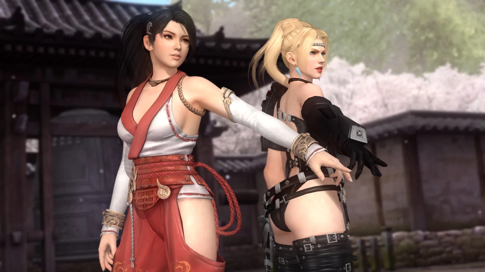 DEAD OR ALIVE 5 Last Round: Core Fighters görsel 5