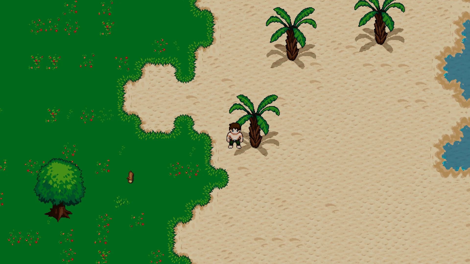 Enigma Isle görsel 2