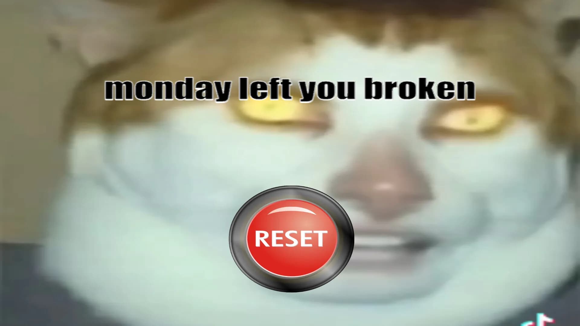 Monday Left Me Broken Collection görsel 3