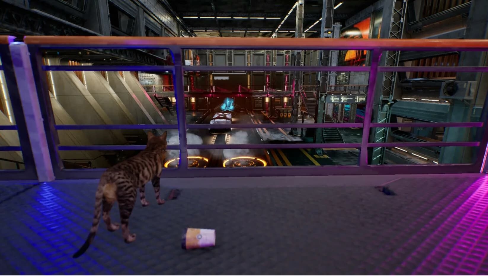 猫之旅 görsel 5