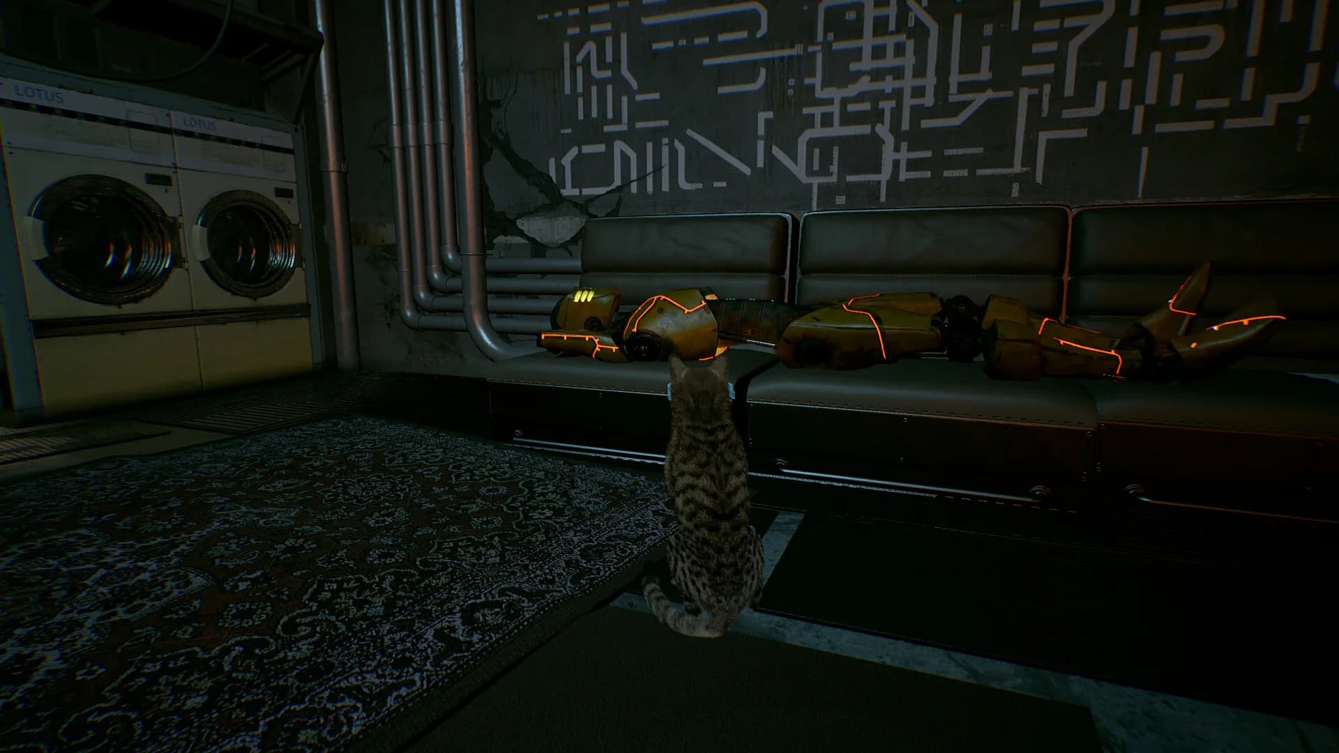 猫之旅 görsel 6