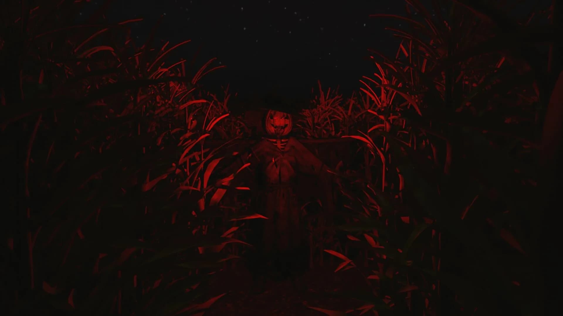 CornField görsel 2