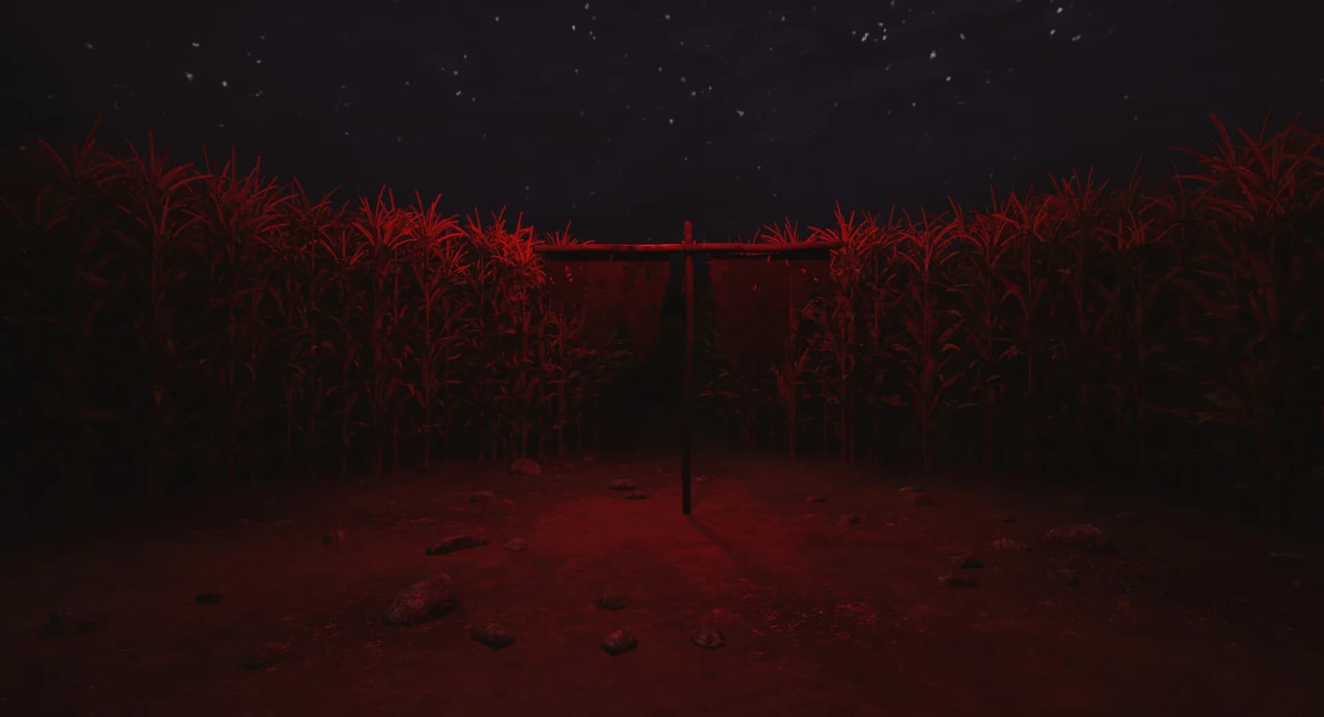CornField görsel 5