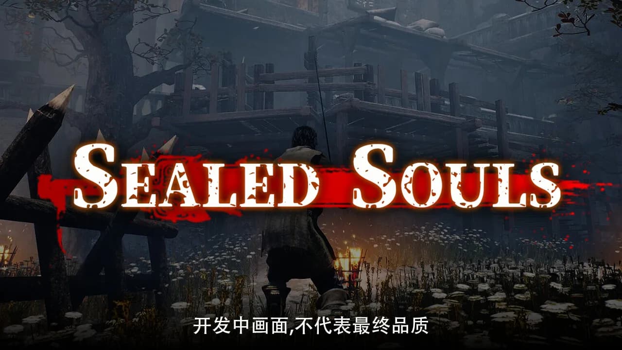 Sealed Souls görsel 2