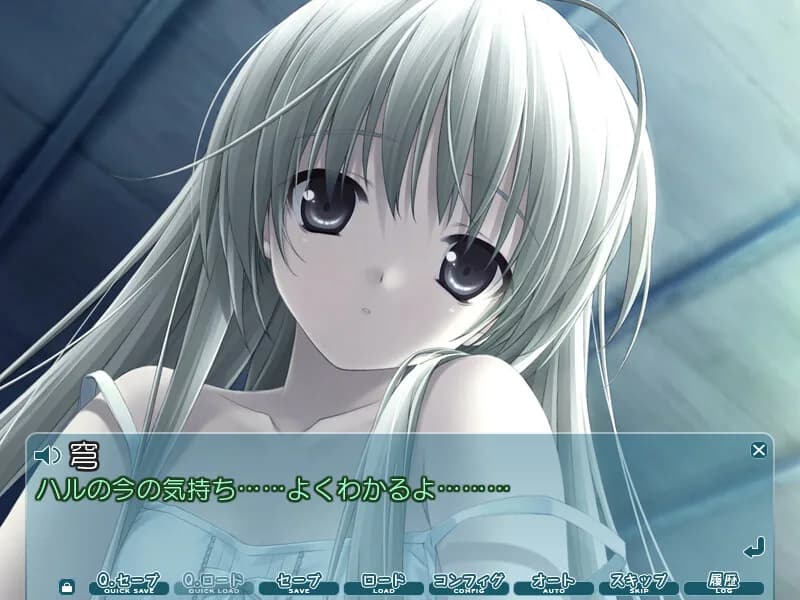 Haruka na Sora görsel 4