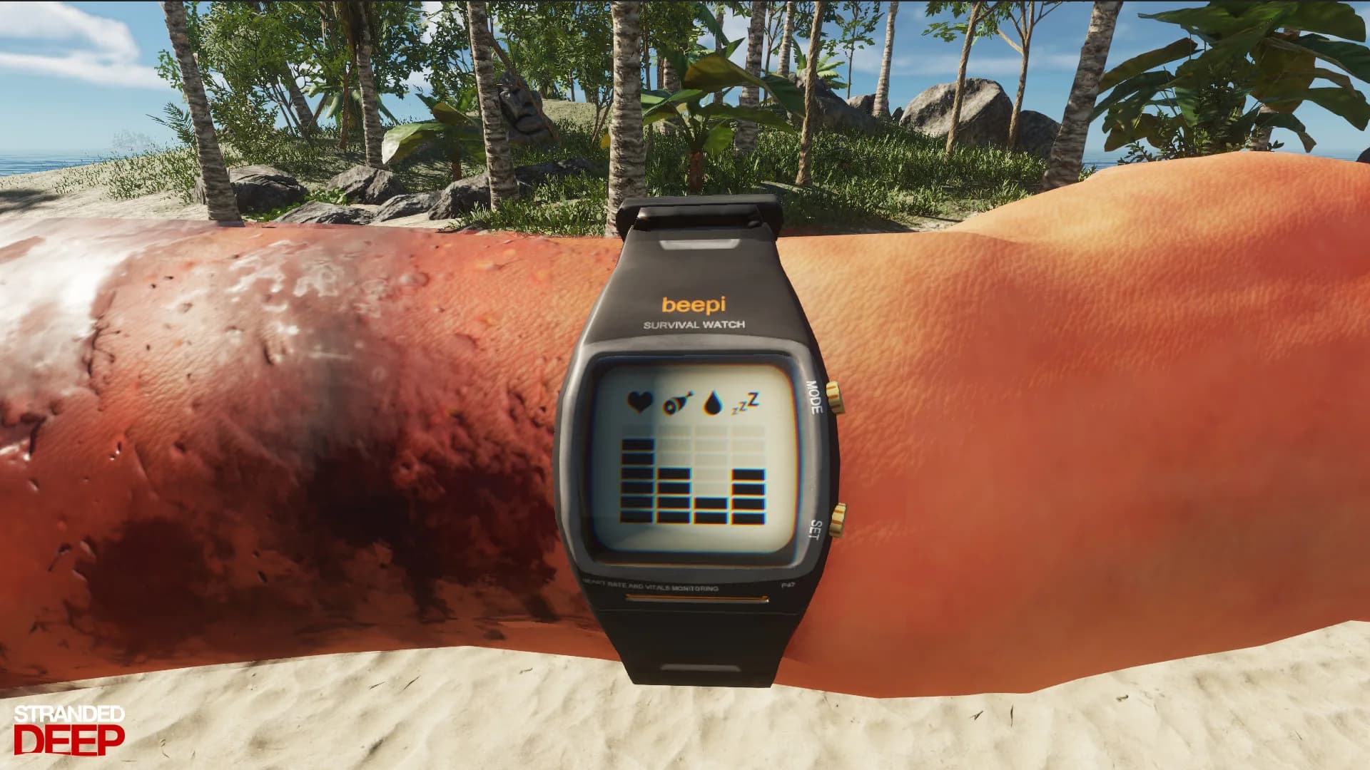 Stranded Deep görsel 12