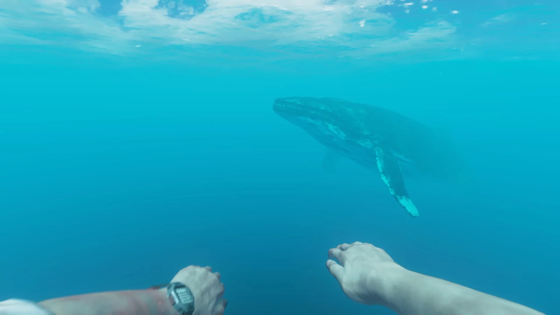 Stranded Deep görsel 11