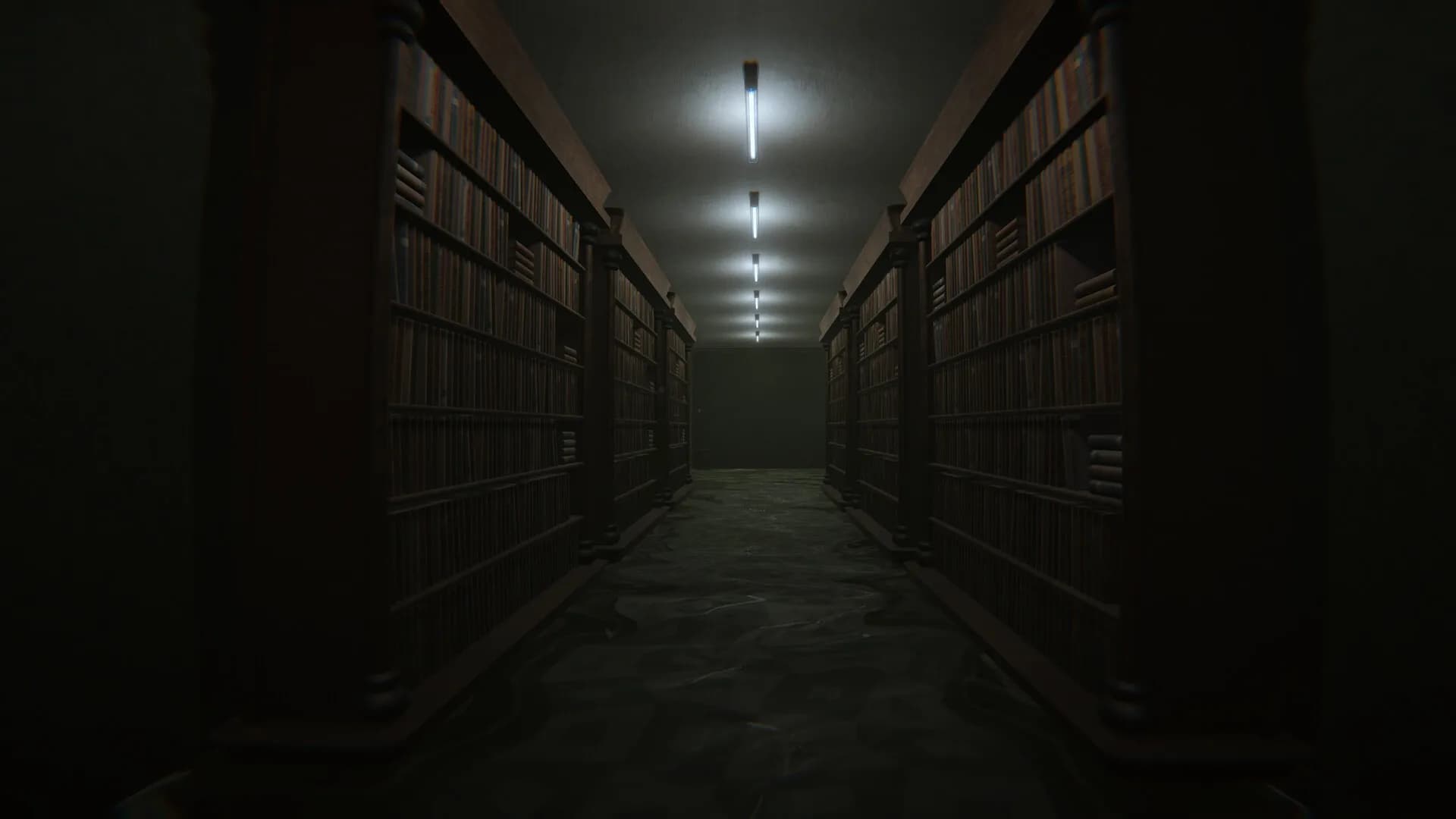 The Liminal Dimension görsel 3