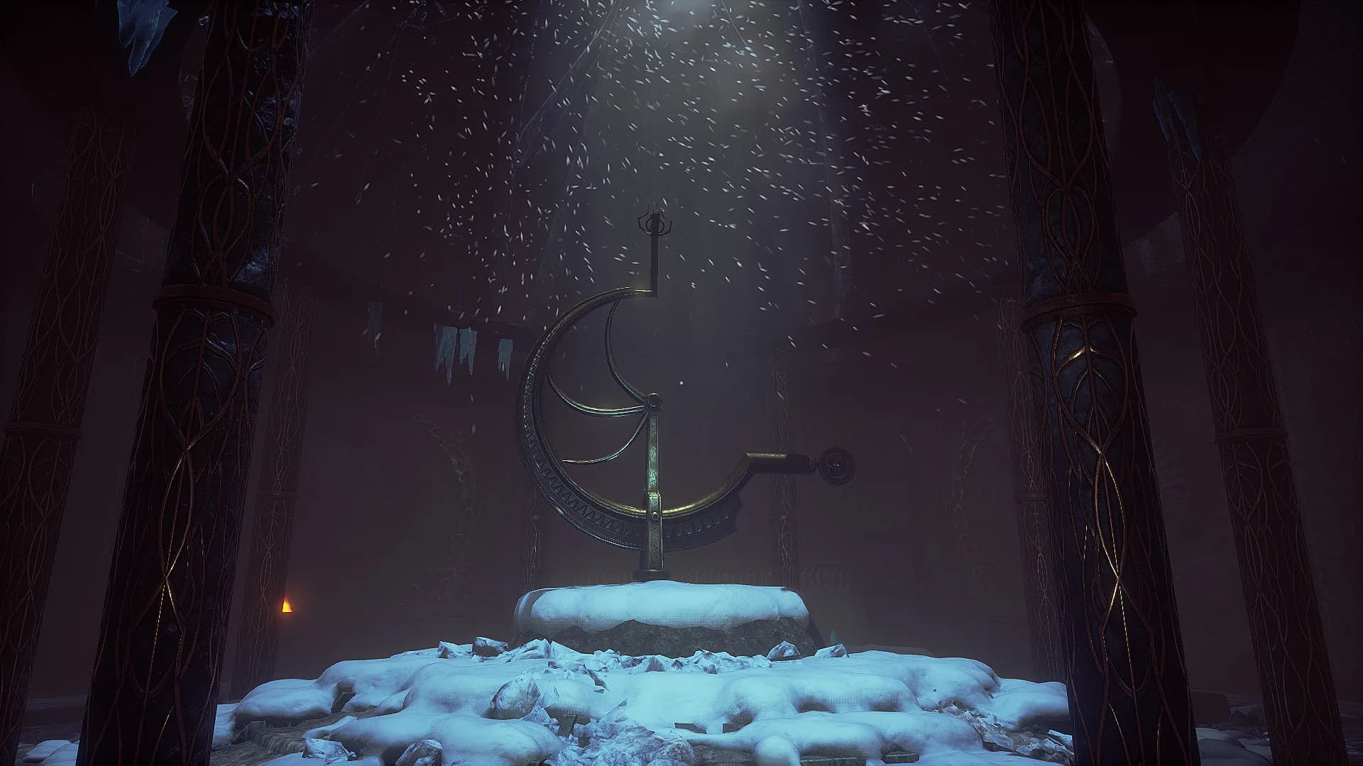 Conarium görsel 13