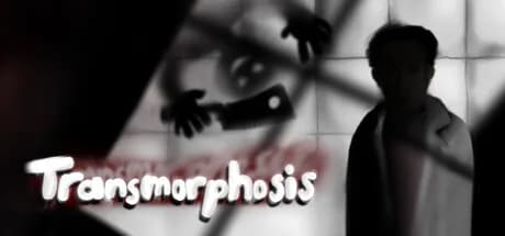 Transmorphosis görsel 1